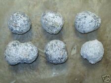 WHOLESALE LOT OF 6 LAS CHOYAS CRYSTAL GEODES; GUARANTEED HOLLOW picture