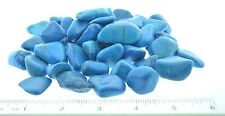3X Blue Howlite Dyed 20-30mm LG Healing Crystal Tumbled Stones Insomnia Patience picture