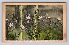 CO-Colorado, Colorado State Flower the Columbine, Vintage c1932 Postcard picture