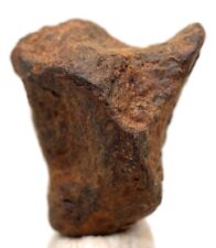 AGOUDAL Iron Meteorite IMILCHIL Individual Specimen Natural Patina MOROCCO picture