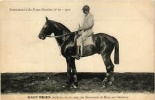 PC CPA TOP BRION bai-brown HORSES SPORT (a13589) picture