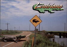 Louisiana alligator crossing highway sign wetlands ~ unused postcard sku277 picture