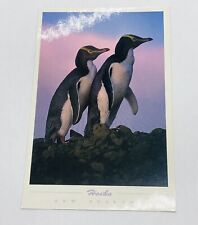 Vintage Postcard Hoiho Yellow Eyed Penguins New Zealand Endangered Species P2 picture