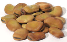Natural 1 oz Mojo African Wishing Beans (Vicia faba) Herbal Health Ritual Magic picture