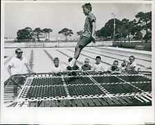 1968 Boy Jumps Trampoline Group Boys Watch Swimming Pool Behind Photo 8X10 picture