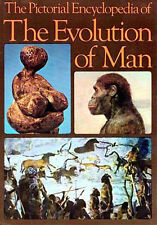 Evolution Man Picture Encyclopedia Neanderthal Boisei Habilis Australopithecus picture