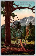 Mt Tallac From Tallac Lake Tahoe California CA 1913 Edward Mitchell Postcard picture