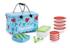 Tupperware New Host Exclusive Collection Summer Picnic Basket Set & Bowls Plates picture