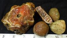 rm69- Queensland Agates-Agate Creek, Australia- 1.0 lbs - FREE US SHIPPING #2158 picture