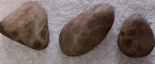 Beautiful 3pc Petoskey Stones Premium Lake Michigan Rock Unpolished Craft Stone  picture