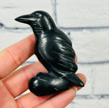 Shungite Crystal Raven Bird Figurine, Spirit Animal Standing Crow Statuette, 3