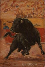 Mexico Nogales,SO Bullfight Sonora Salvador Cappeno Postcard Vintage Post Card picture