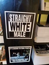 STRAIGHT WHITE MAIL Funny Political Bumper Sticker It's ok to be White straight  picture