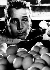 Cool Hand Luke classic scene Paul newman eating eggs 5x7 press photo picture