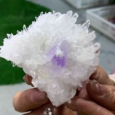 114G Natural Transparent Chrysanthemum crystal Cluster with Amethyst Specimen picture