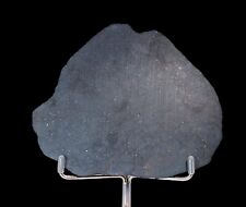 slice of rare meteorite NWA 16180 (L3-5) Multiple lithologies 51 gm picture