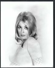BEAUTY SHARON TATE ACTRESS VINTAGE 1967 ORIGINAL PHOTO picture