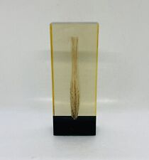 Rare 1980s Lucite Pine Needle Paperweight Resin 6” Tabletop Art Decor 17 picture