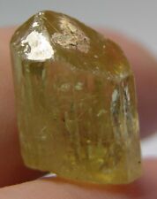 #22 12.35ct Mexico 100% Natural Terminated Golden Apatite Crystal Specimen 15mm picture