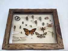 Vintage Assorted Insect Taxidermy Display Wood Framed Under Glass Science Lab picture