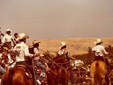 2G Photograph Rodeo View From Behind Backs Cowboys Hat Horses Lassos Coors Event picture