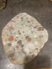 Raw Lake Huron Pudding Stone Big Slab picture