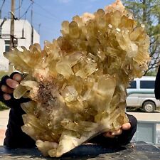 24.68LB Natural Citrine cluster mineral specimen quartz crystal healing picture