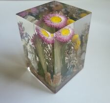 W. Rolfe Dried Flower Acrylic Lucite Cubist Paperweight Signed Micro Terrarium picture
