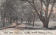 Argyle Park, Babylon, Long Island Babylon 1906 PM Postcard picture
