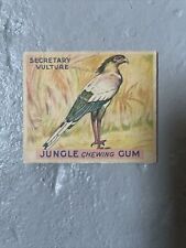 Jungle Chewing Gum card #24 Secretary Vulture, World Wide Gum Company picture