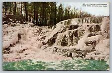 New York Zoological Park, Falls, Lake Agassiz Vintage Postcard picture
