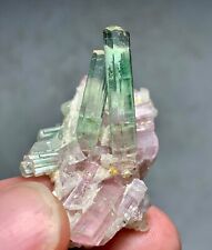55 carats watermelon Tourmaline Crystal Bunch Specimen From Afghanistan picture
