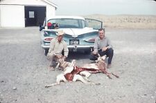Men Kneeling with Dead Antelope Hunting Trip Marfa Texas 1960 Vintage 35mm Slide picture