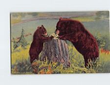 Postcard Learning Table Manners Brown Bears picture