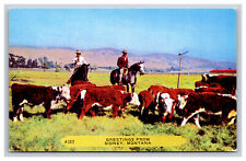 Cowboy Horse Cattle, Greetings From Sidney Montana MT Postcard A4385 picture