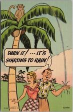 1950s FLORIDA Comic Linen Postcard Monkey in Palm Tree / Dropping Coconuts