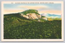 Cashiers North Carolina, Whiteside Mountain Scenic View, Vintage Postcard picture
