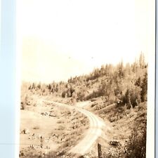 c1920s Unknown Mountain Railway RPPC Track Forest Real Photo Postcard CO? A95 picture