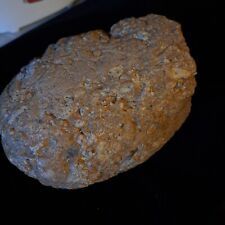 COLORADO JASPERIZED CONGLOMERATE LARGE STONE ROCK 9 LB picture