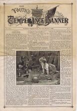 The Youth's Temperance Banner, Vol. XXIX No. 21, November 1, 1894 picture