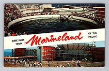 Marineland CA-California, Scenic Banner Greetings, Vintage Postcard picture