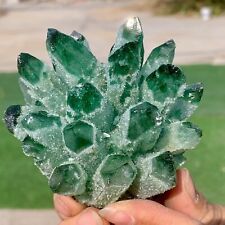 342G Newly discovered green phantom quartz crystal cluster minerals picture
