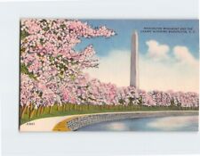 Postcard Washington Monument and the Cherry Blossoms Washington DC picture