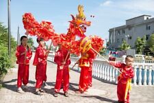 7.9m for 8 Kids  Chinese Culture Red dragon dance costume dragon silk No poles picture