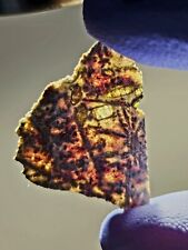 Meteorite**Erg Chech 002, Achon. Ung**0.789 gram, OLDEST MAGMA IN SOLAR SYSTEM picture