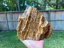 Texas Petrified Wood Fossil Large Natural Freestanding Perfect Aquarium Piece picture