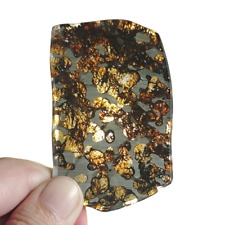 32.4g Seymchan Pallasite Meteorite slice  From Russian - CA139 picture
