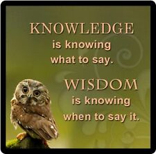 Owl Humor Knowledge Refrigerator Magnet   picture