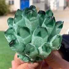 383G Newly discovered green phantom quartz crystal cluster minerals picture