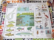 Poster School Biodiversity All Animals Pond & Of La Forest Rossignol Wmns picture